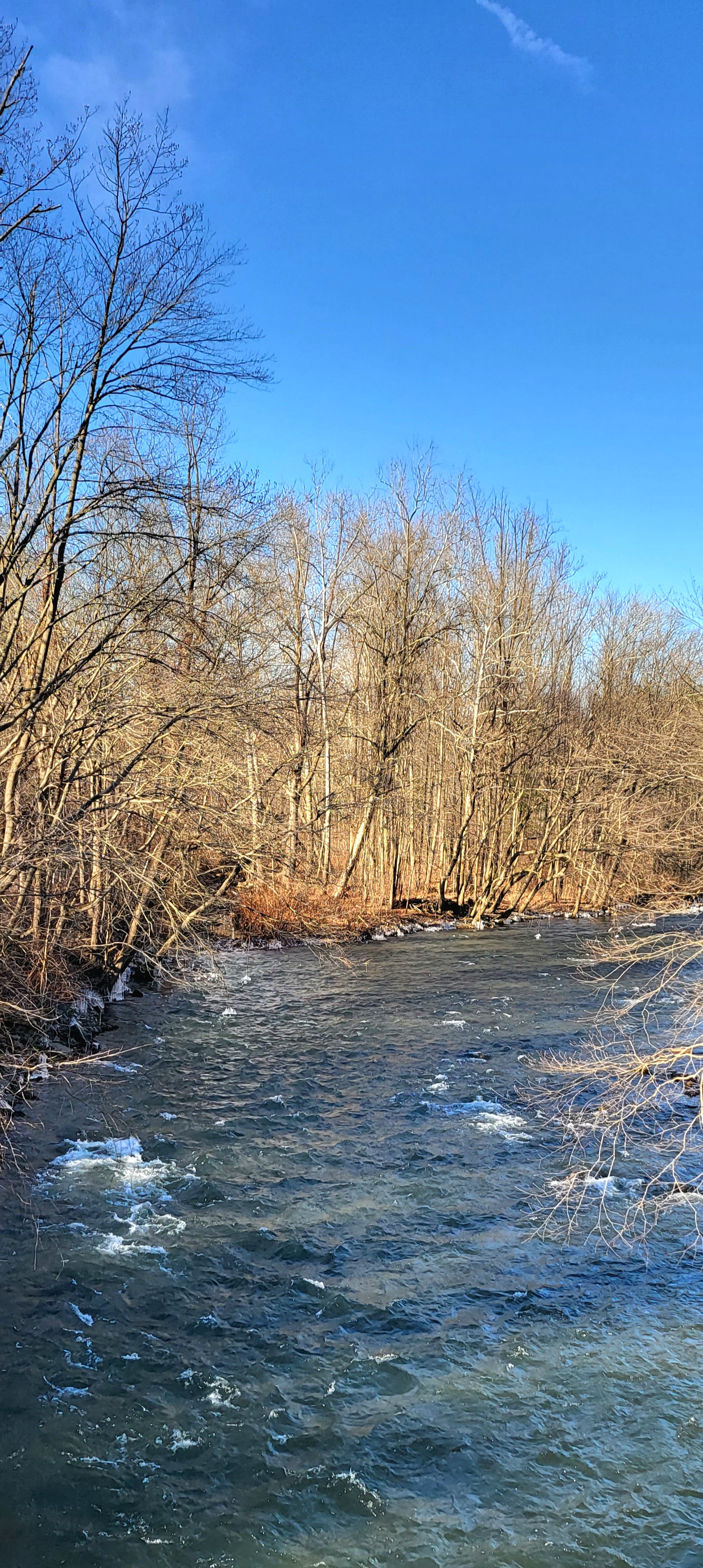 20221228_125203.jpg